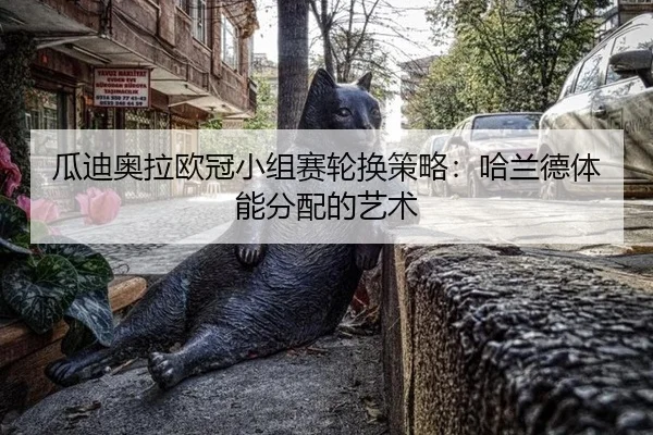 gua-di-ao-la-ou-guan-xiao-zu-sai-lun-huan-ce-lve-ha-lan-de-ti-neng-fen-pei-de-yi-shu-2-924.jpg