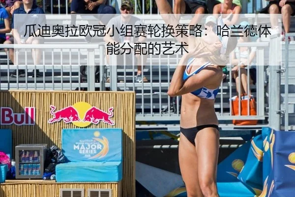gua-di-ao-la-ou-guan-xiao-zu-sai-lun-huan-ce-lve-ha-lan-de-ti-neng-fen-pei-de-yi-shu-3-481.jpg