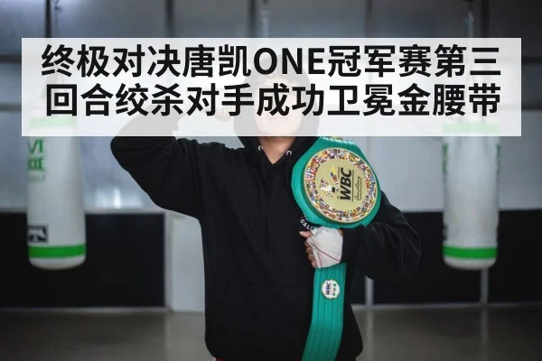 终极对决唐凯ONE冠军赛第三回合绞杀对手成功卫冕金腰带