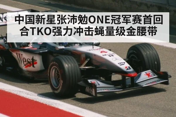 中国新星张沛勉ONE冠军赛首回合TKO强力冲击蝇量级金腰带